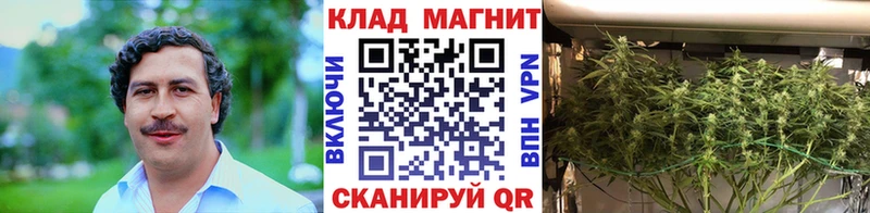 Купить Шатура ГАШ  A PVP  АМФ  Галлюциногенные грибы  КОКАИН  Меф  Конопля 