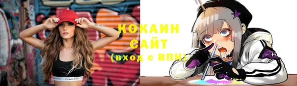 ПСИЛОЦИБИНОВЫЕ ГРИБЫ Магас