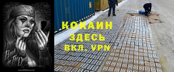 ПСИЛОЦИБИНОВЫЕ ГРИБЫ Магас
