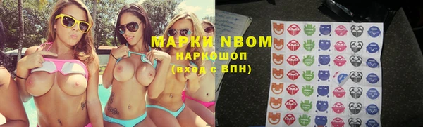 ПСИЛОЦИБИНОВЫЕ ГРИБЫ Магас