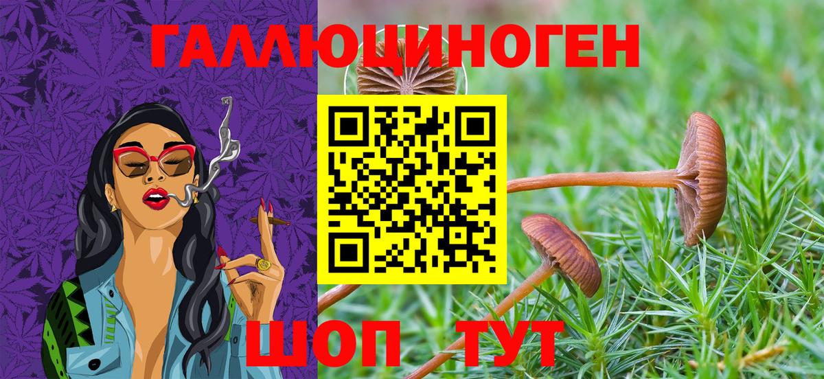 Псилоцибиновые грибы ЛСД Шатура