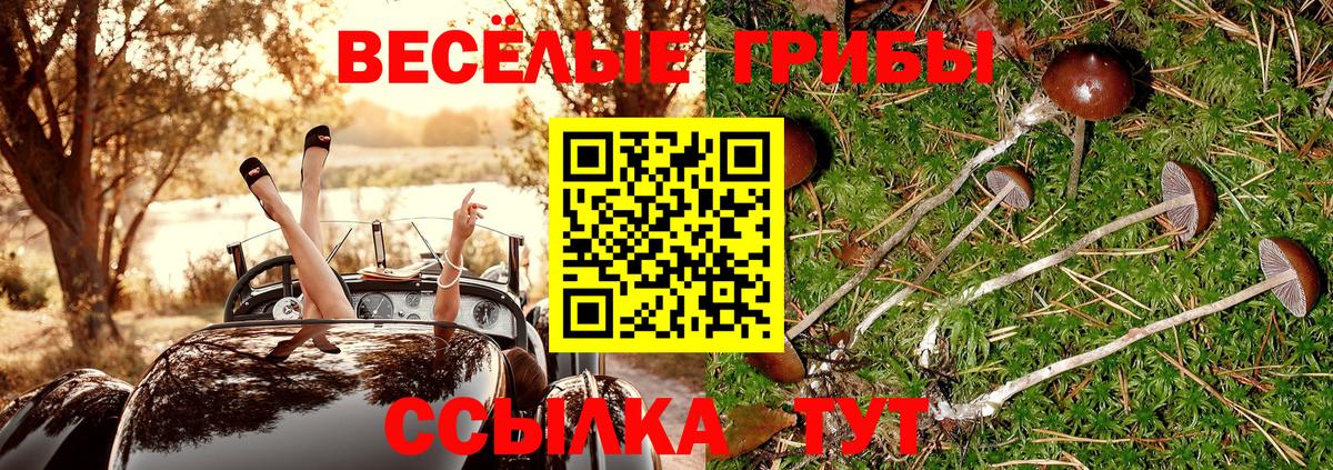 Галлюциногенные грибы ЛСД  Шатура 